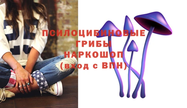 бошки Кодинск