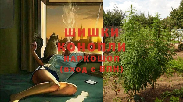 бошки Кодинск